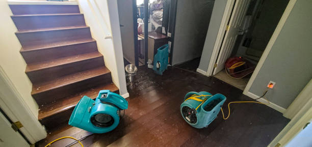 Best Flood restoration services  in Santa Ynez, CA