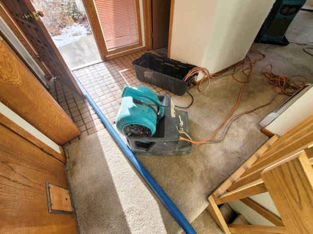 Best Flood restoration services  in Santa Ynez, CA