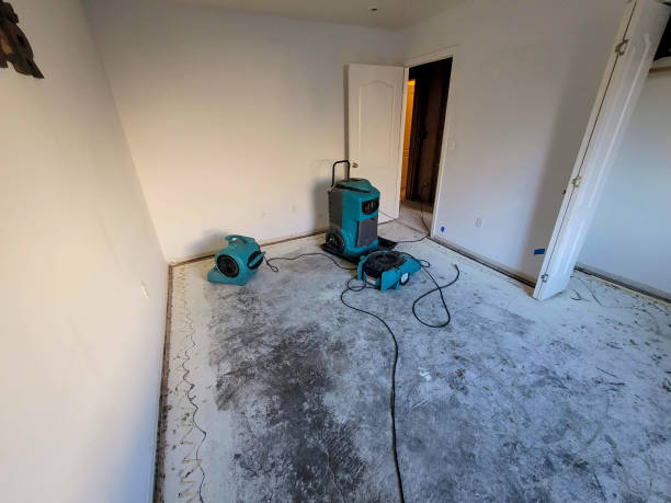 Best Commercial water damage restoration  in Santa Ynez, CA