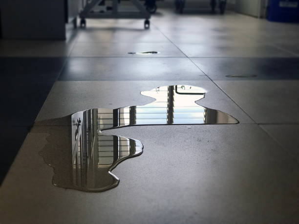 Best Water damage restoration near me  in Santa Ynez, CA
