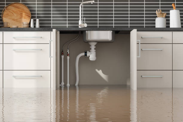 Best Local water damage restoration  in Santa Ynez, CA