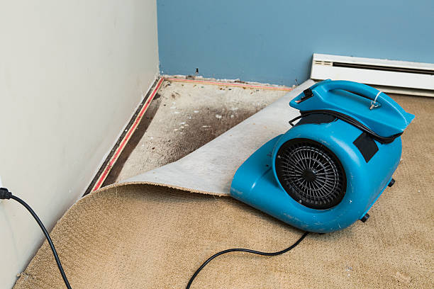 Best Commercial water damage restoration  in Santa Ynez, CA